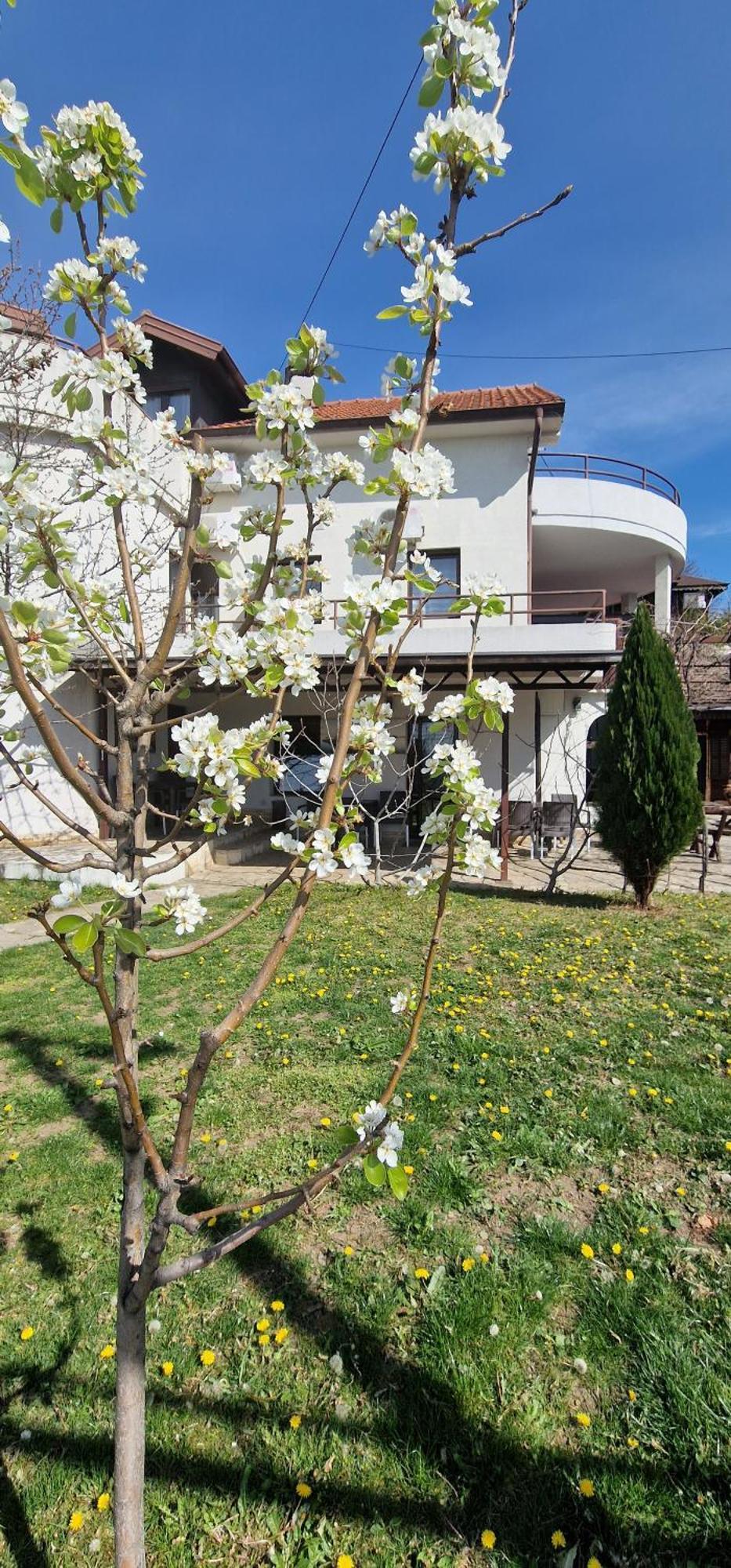 Rooms Green Set Belgrado Exterior foto