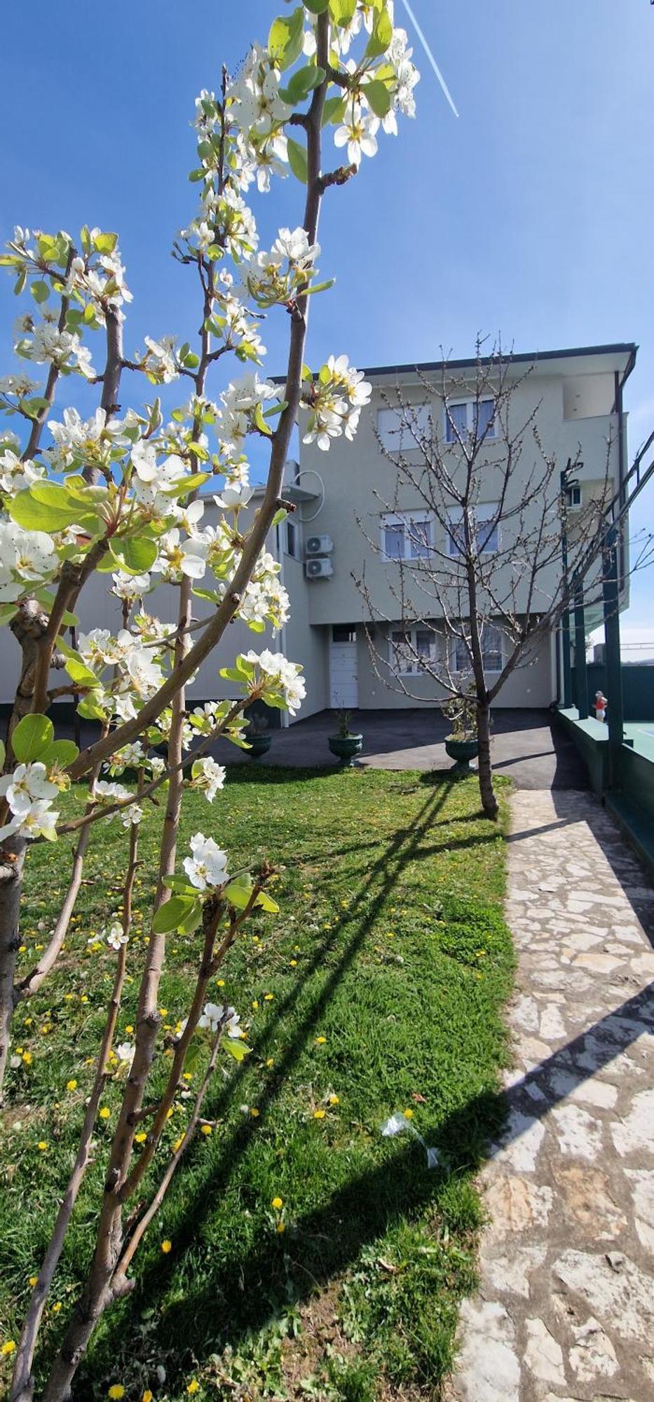 Rooms Green Set Belgrado Exterior foto